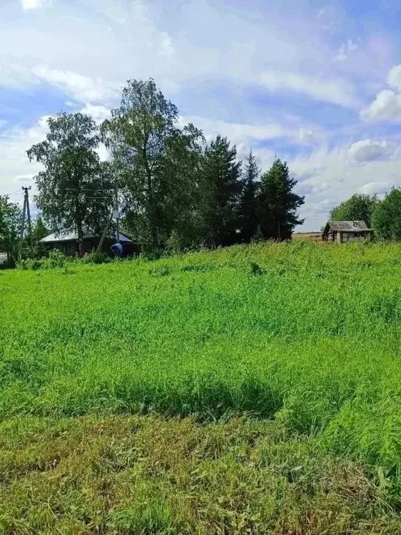 Участок в Вологодская область, д. Петраково (Семенковский сельсовет)  ... - Фото 1