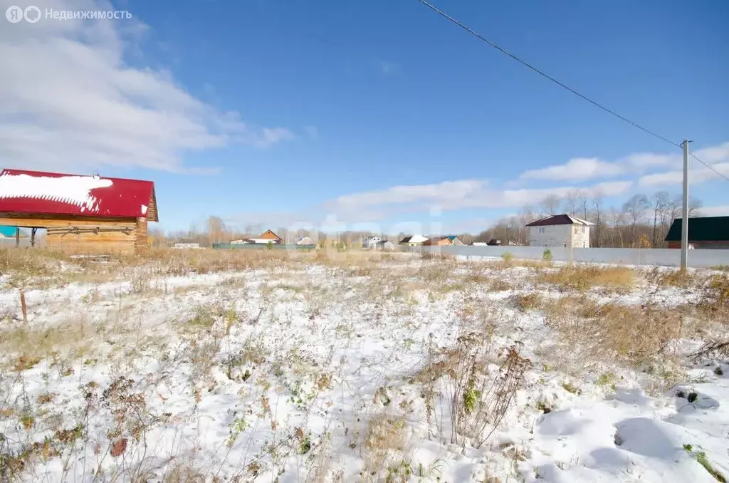 Участок в Ялуторовский район, село Киева (17.3 м) - Фото 1