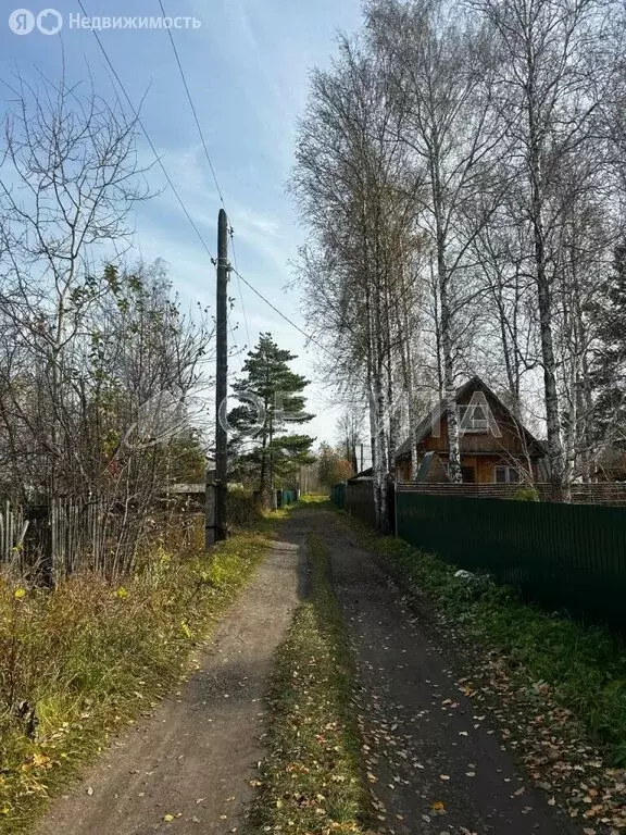Участок в Тюменский муниципальный округ, СНТ Нива (5.76 м) - Фото 2