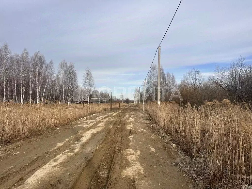 Участок в Тюменская область, Тюменский район, Приозерное СПК ул. ... - Фото 1