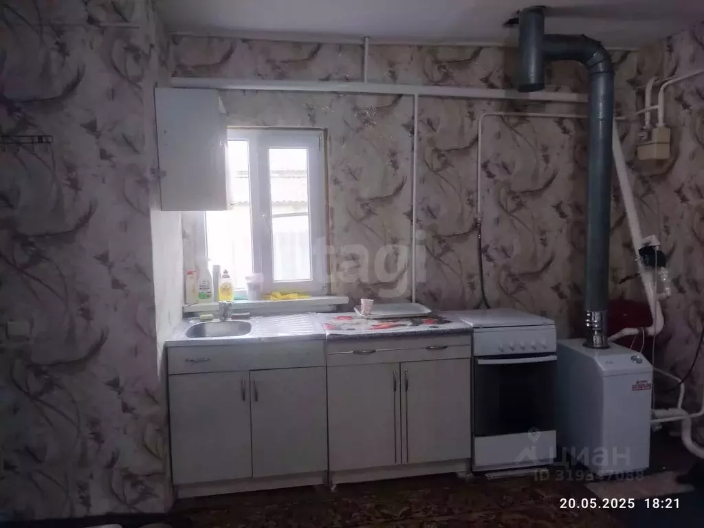 Дом в Воронежская область, Борисоглебский городской округ, с. Чигорак ... - Фото 1