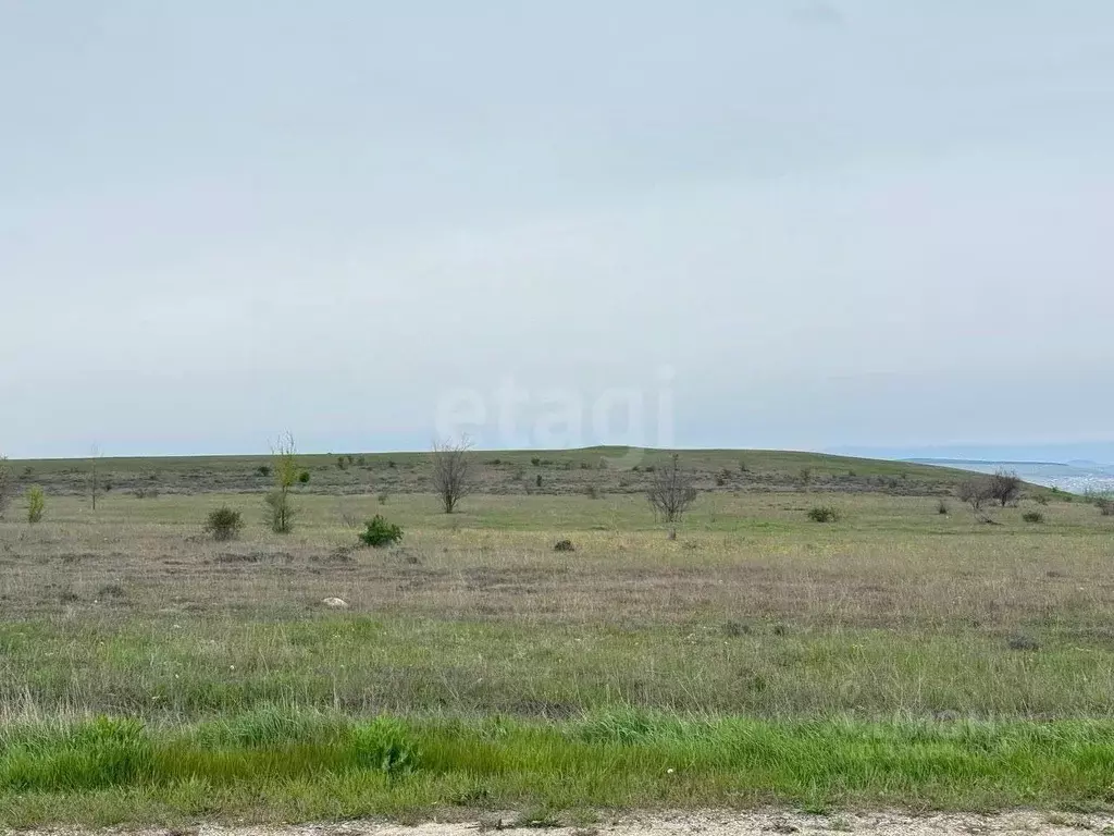 Участок в Крым, Красногвардейский район, с. Марьяновка  (467.56 сот.) - Фото 2