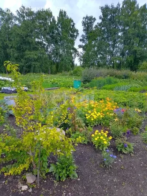 Купить Дом В Киндяково Березовский Район