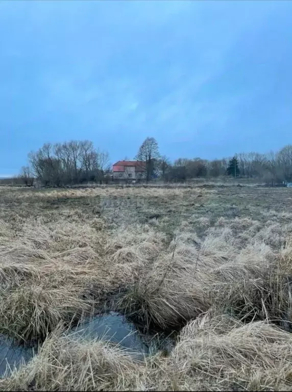 Участок в Калининградская область, Гурьевский муниципальный округ, ... - Фото 1
