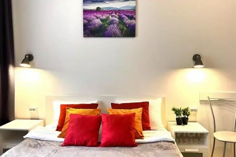 1-к кв. Московская область, Балашиха ул. Ситникова, 4 (26.0 м) - Фото 2