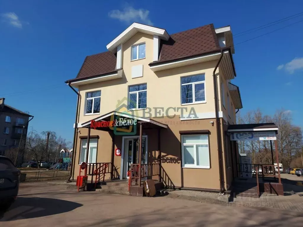 Торговая площадь в Ленинградская область, Гатчина Школьная ул., 2А ... - Фото 1