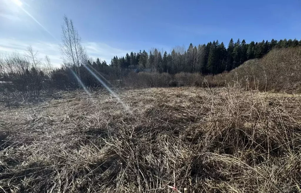 Участок в Карелия, Сортавала ул. Молодежная (15.0 сот.) - Фото 1