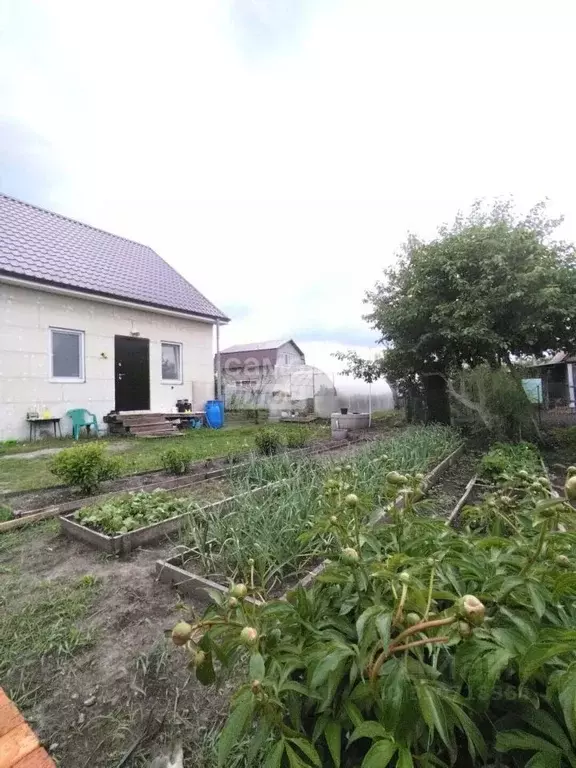 Дом в Тюменская область, Тюменский муниципальный округ, с. Горьковка ... - Фото 1
