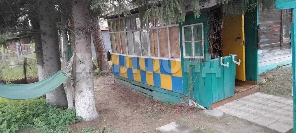 Участок в Новосибирская область, Колыванский район, Дзержинец СНТ  ... - Фото 1