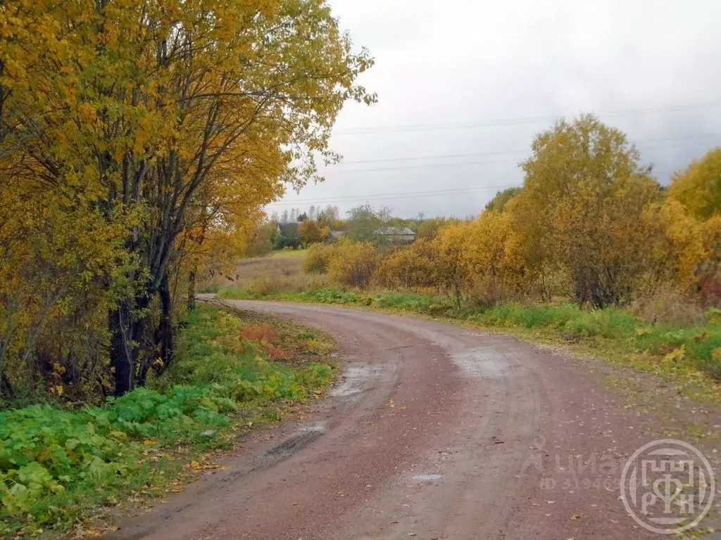 Участок в Ленинградская область, Выборгский район, Красносельское ... - Фото 1