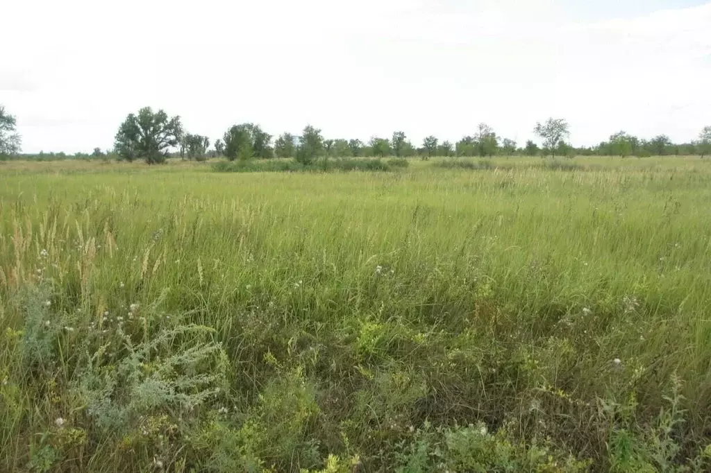 Участок в Самарская область, Тольятти Южное ш. (4500.0 сот.) - Фото 1