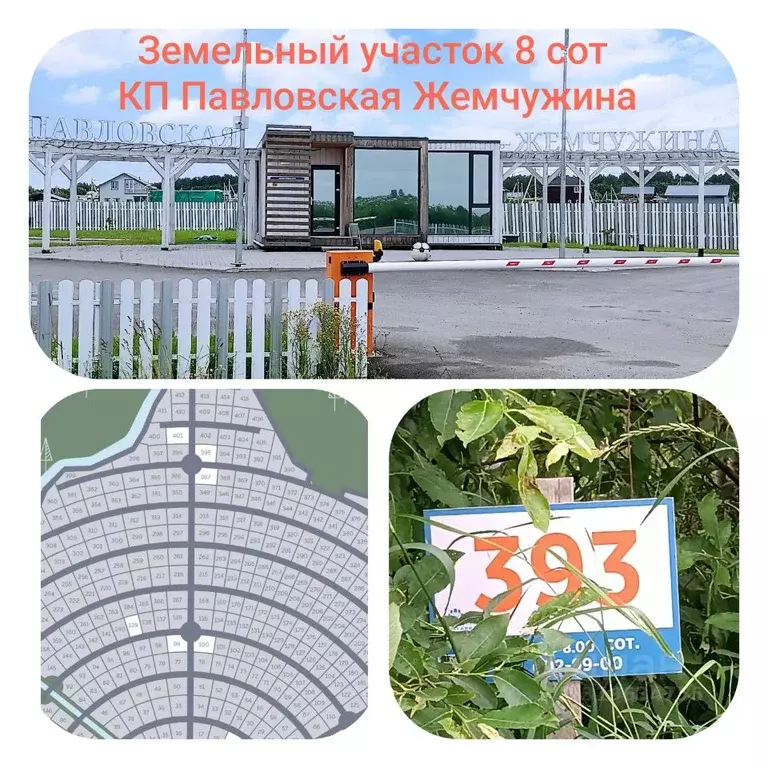 Участок в Ленинградская область, Гатчинский район, Дачный-2 массив  ... - Фото 1
