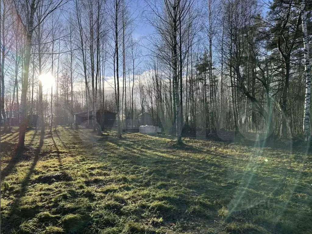 Участок в Ленинградская область, Приозерский район, Красноозерное ... - Фото 0