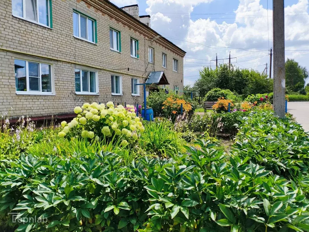 3-к кв. Орловская область, Орловский район, Знаменка пгт Школьная ул. ... - Фото 1