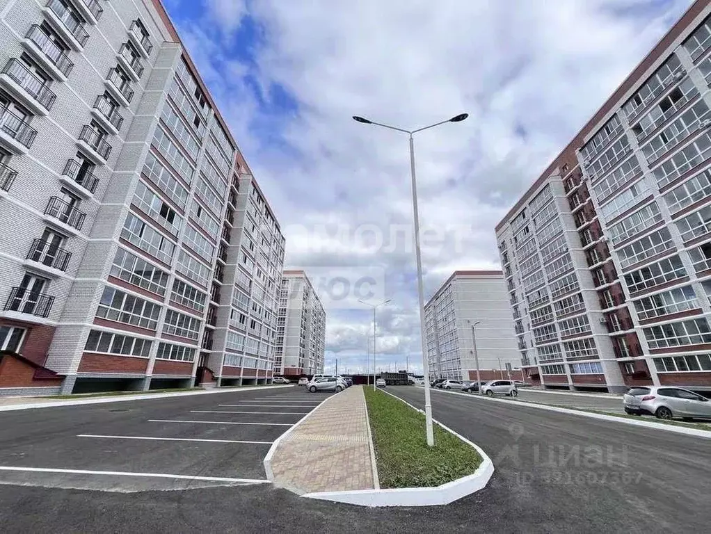 Студия Амурская область, Благовещенский район, с. Чигири, Тепличный ... - Фото 2