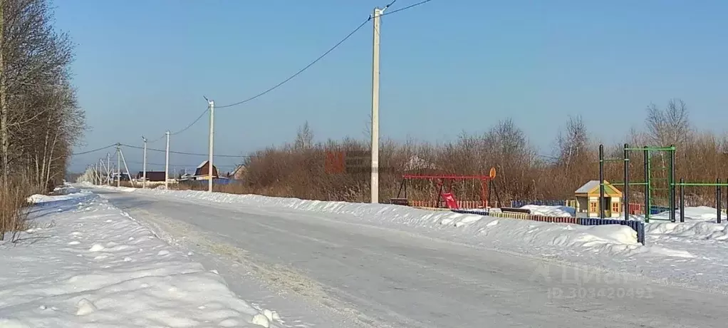 Участок в Тюменская область, Тюмень Царево садовое товарищество, ул. ... - Фото 1