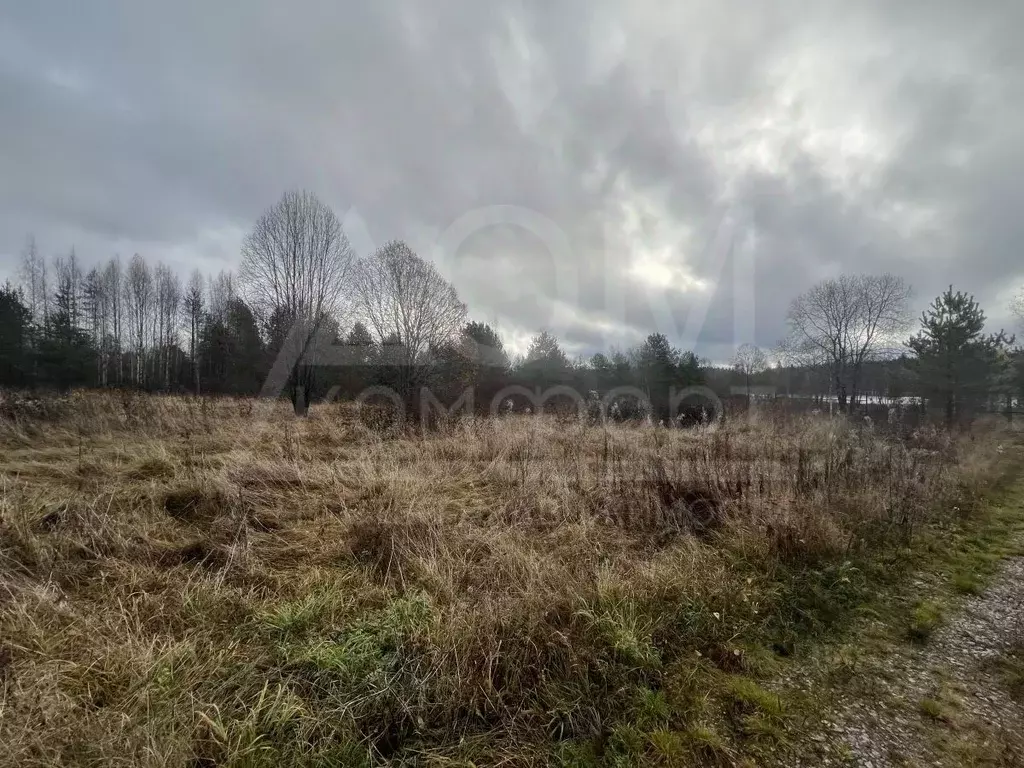 Участок в Ленинградская область, Выборгский район, Каменногорское ... - Фото 1