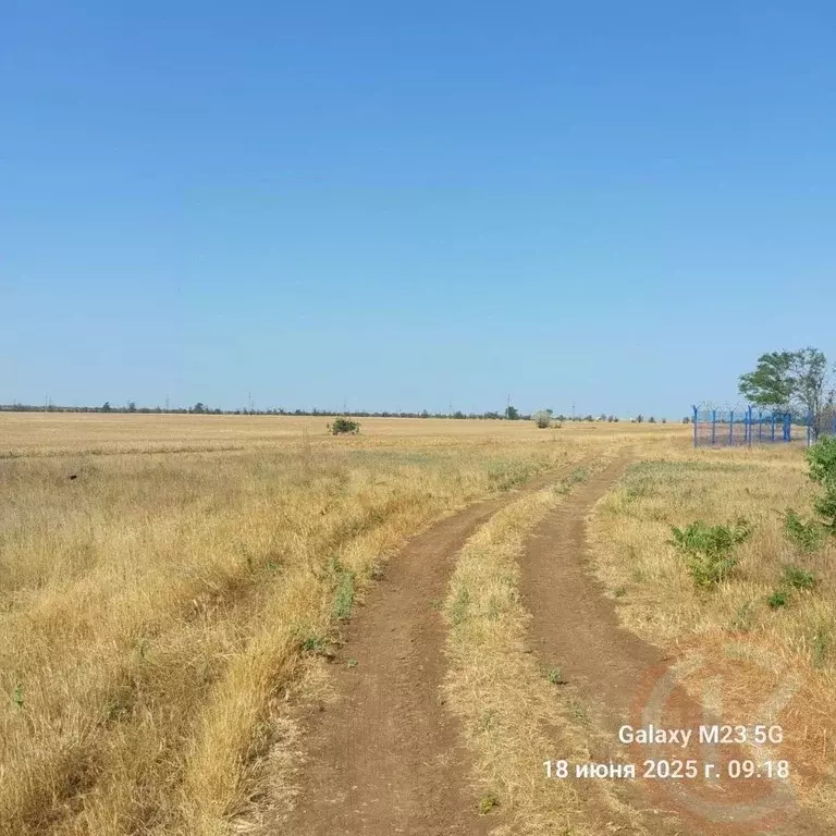 Участок в Крым, Черноморский район, с. Новоивановка  (6.23 сот.) - Фото 1