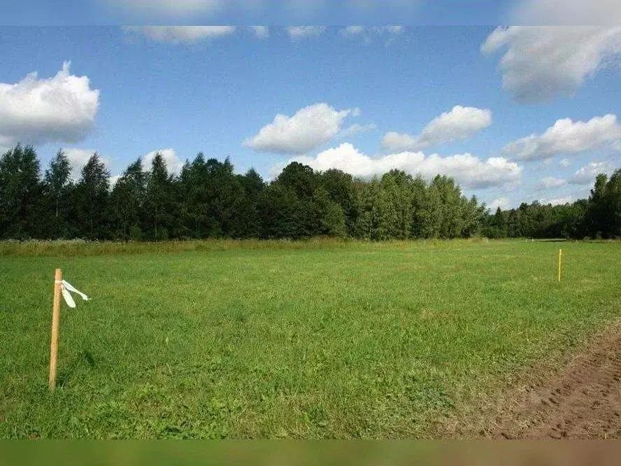 Участок в Московская область, Шатура муниципальный округ, д. Митинская ... - Фото 0