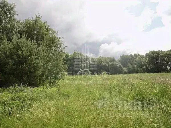 Участок в Владимирская область, Суздальский район, Селецкое ... - Фото 0