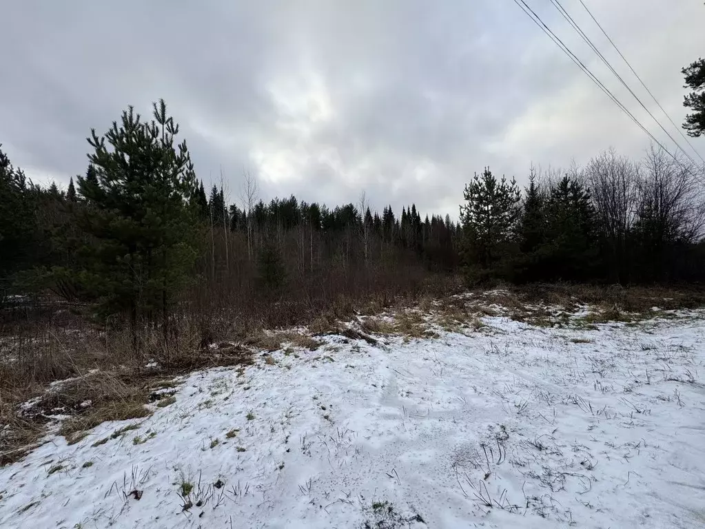 Участок в Кировская область, Юрьянский район, Гирсовское с/пос, ... - Фото 2