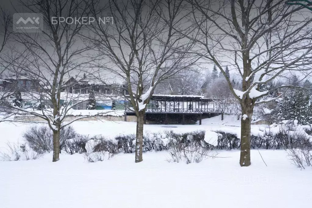 Участок в Ленинградская область, Всеволожский район, Колтушское ... - Фото 2