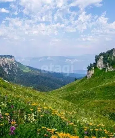 Участок в Адыгея, Майкопский район, Абадзехская ст-ца ул. Винника ... - Фото 0