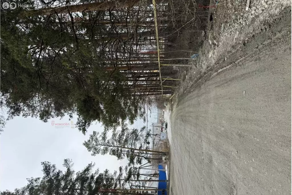 Участок в посёлок Большой Исток, улица Ленина, 172 (15 м) - Фото 2