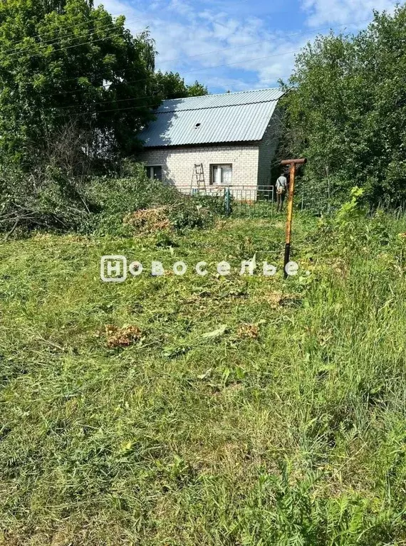 Участок в Рязанская область, Рязанский муниципальный округ, д. ... - Фото 1