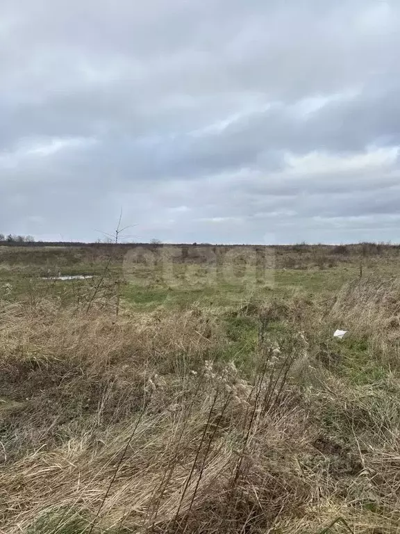 Участок в Калининградская область, Гвардейский муниципальный округ, ... - Фото 2