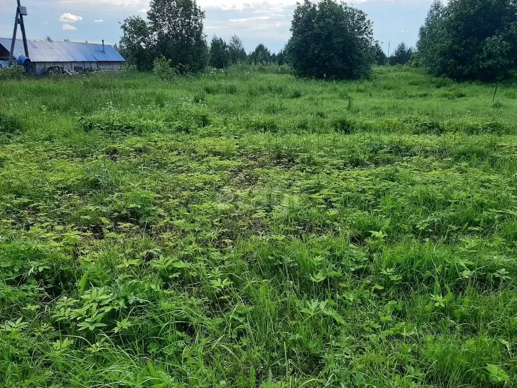 Участок в Архангельская область, Котласский муниципальный округ, д. ... - Фото 1
