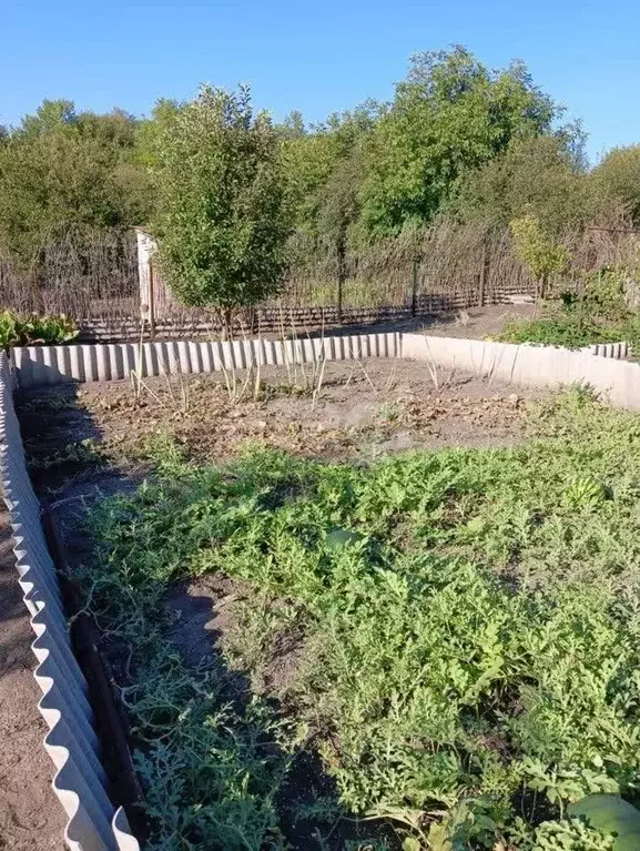 Участок в Белгородская область, Белгородский район, Беловское с/пос, ... - Фото 0