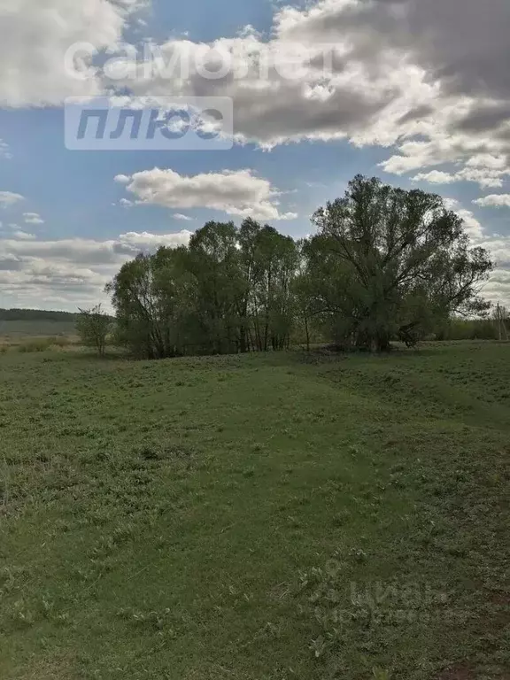 Участок в Татарстан, Альметьевский район, с. Новое Каширово  (29.57 ... - Фото 1