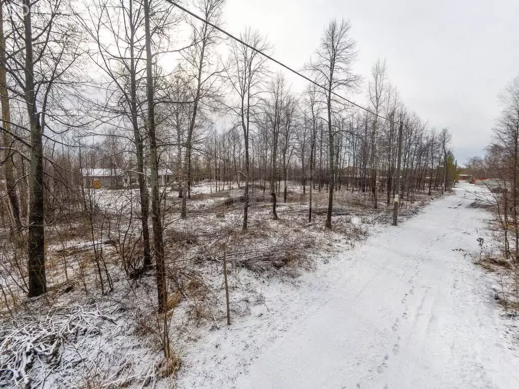 Участок в Нижнетавдинский район, СТ Фортуна, 14-я улица (32.36 м) - Фото 1