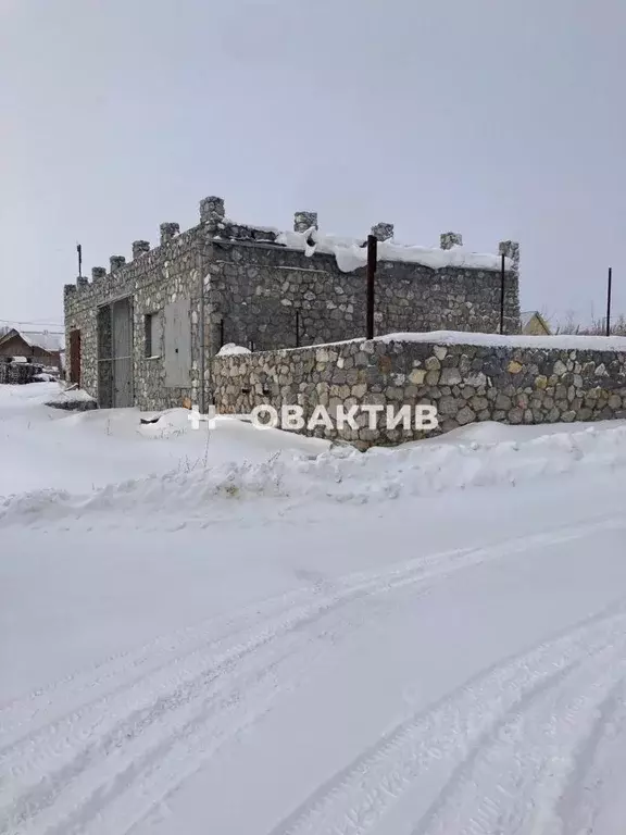Помещение свободного назначения в Новосибирская область, Искитимский ... - Фото 1