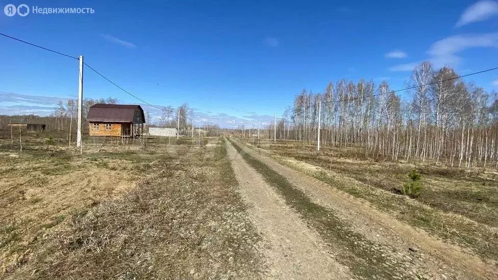 Участок в Ялуторовский район, село Киева (1 м) - Фото 1