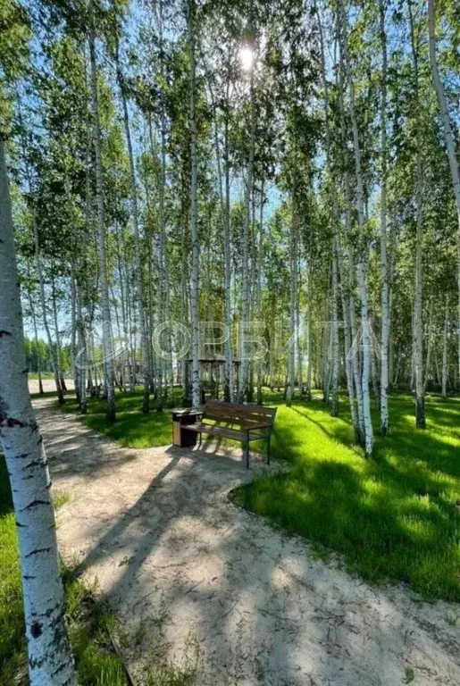 Участок в Тюменская область, Нижнетавдинский муниципальный округ, ... - Фото 0