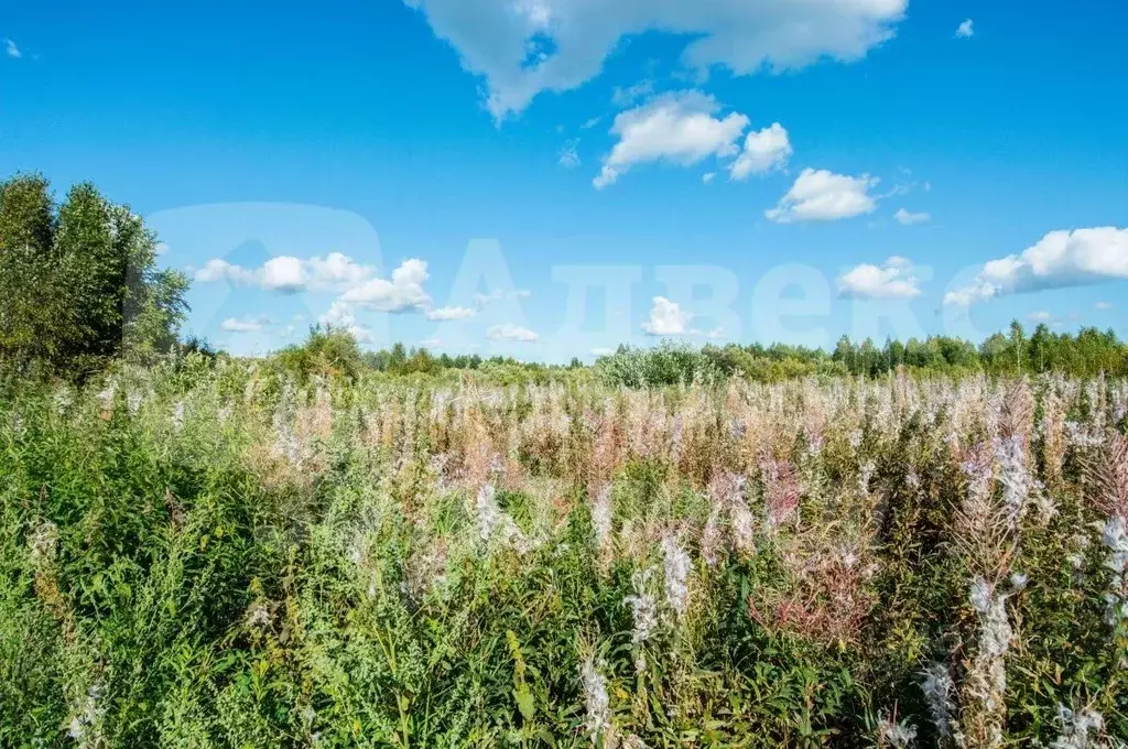 Участок в Тюменская область, Нижнетавдинский муниципальный округ, ... - Фото 1