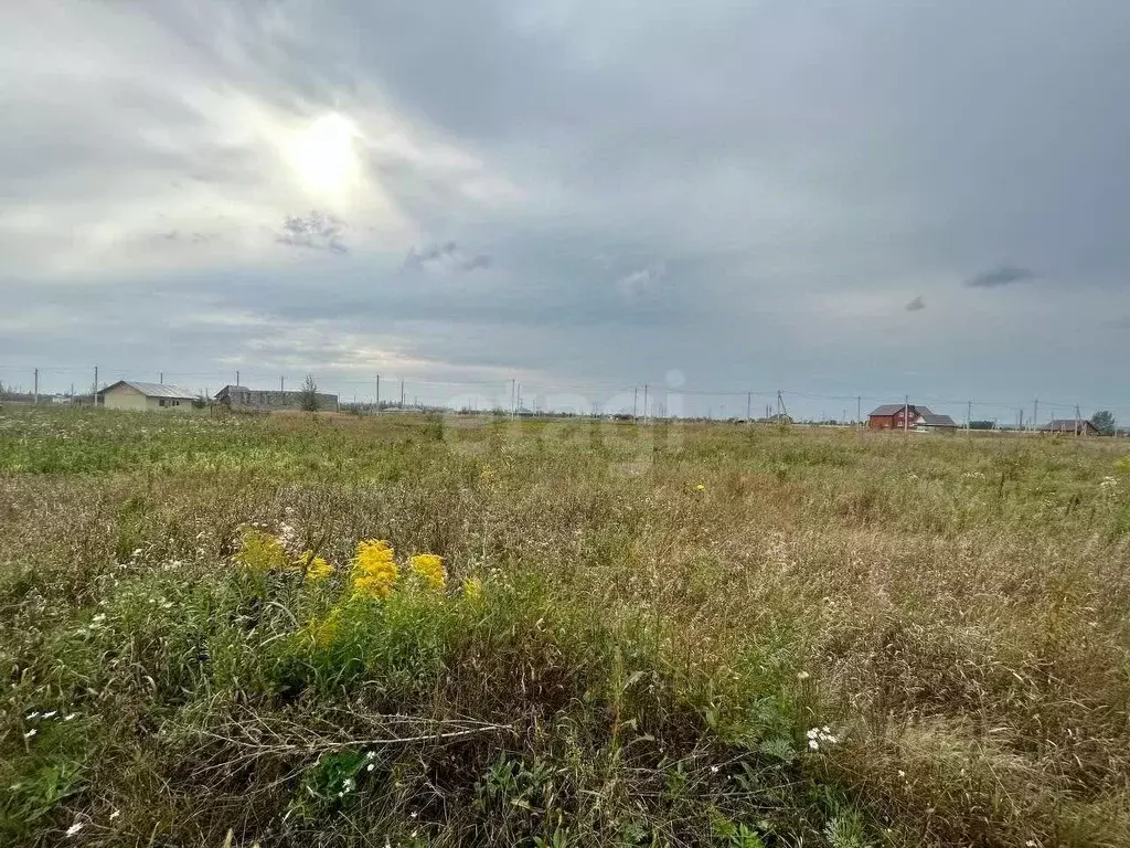 Участок в Башкортостан, Стерлитамакский район, д. Казадаевка, Любажи ... - Фото 2