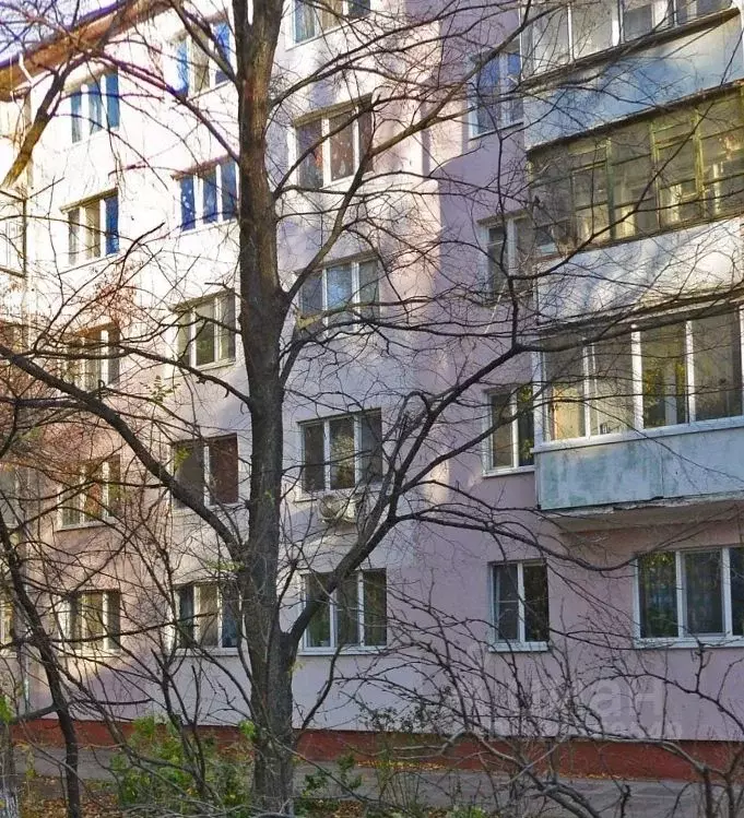 1-к кв. Белгородская область, Белгород ул. Пугачева, 16 (31.0 м) - Фото 2