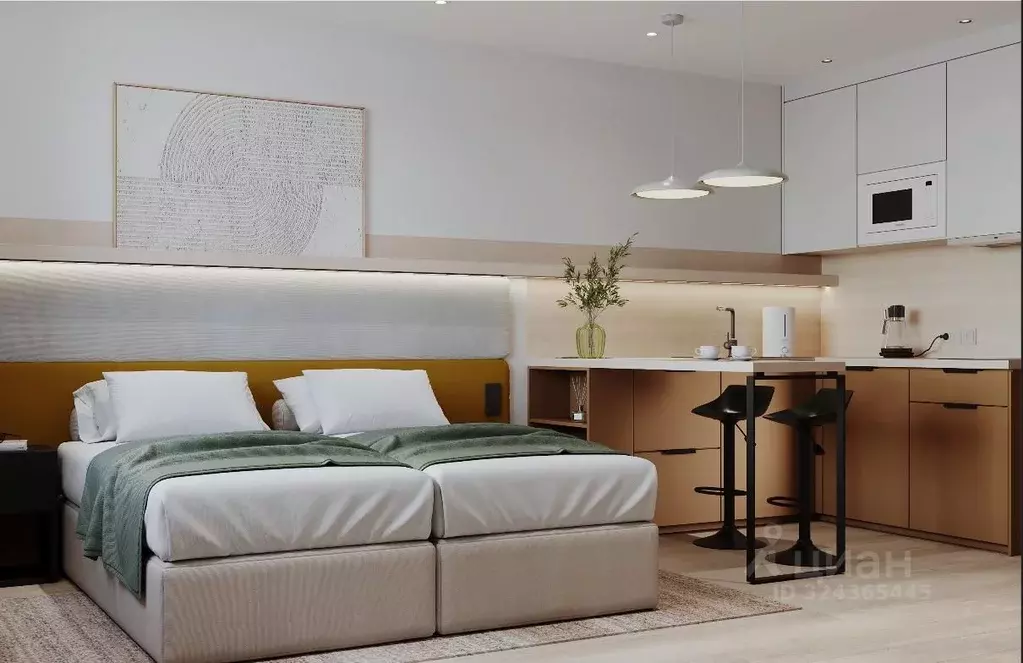 Студия Санкт-Петербург бул. Измайловский, 1к2 (20.2 м) - Фото 2