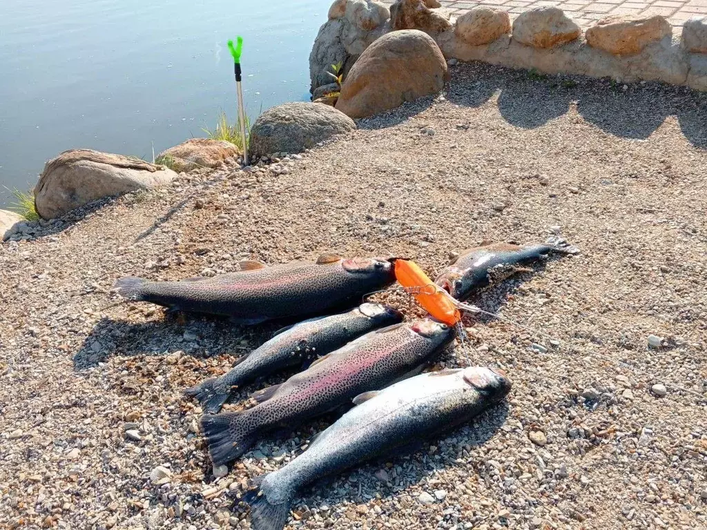 Участок в Московская область, Раменский муниципальный округ, с. ... - Фото 2