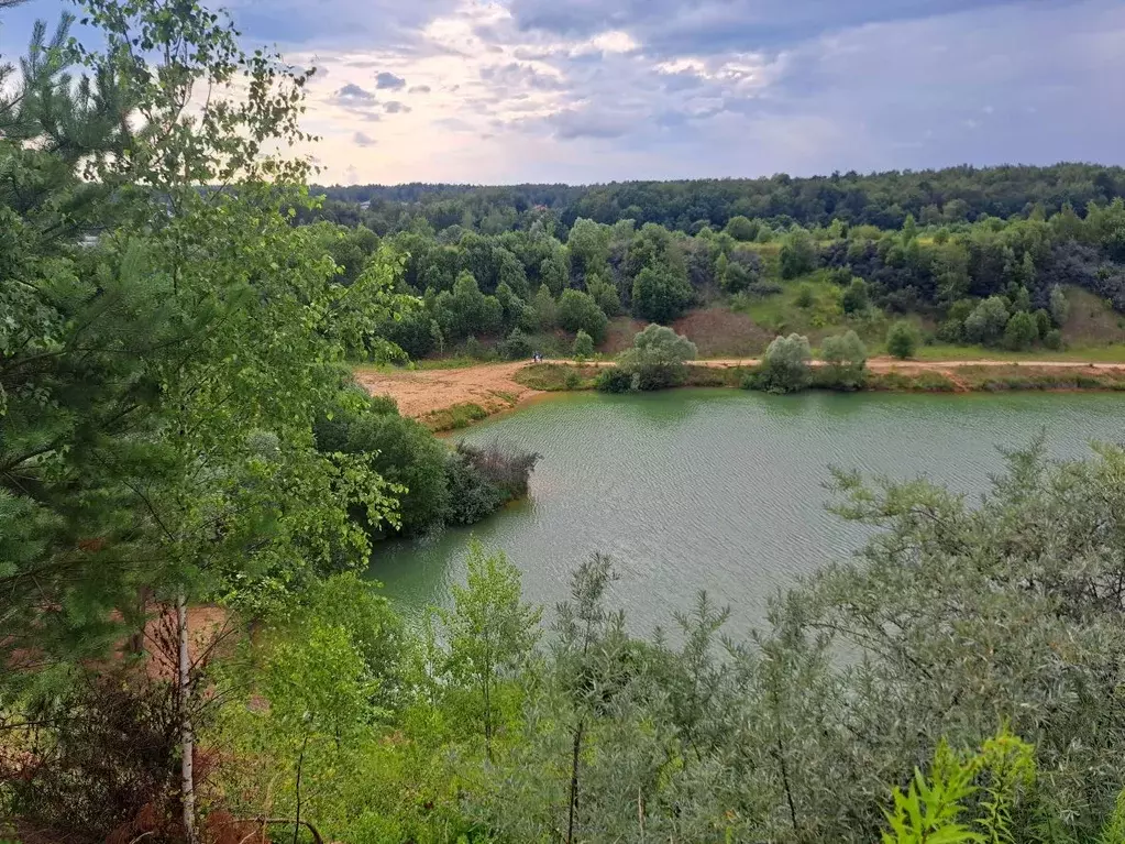 Участок в Московская область, Чехов муниципальный округ, д. Волосово  ... - Фото 1