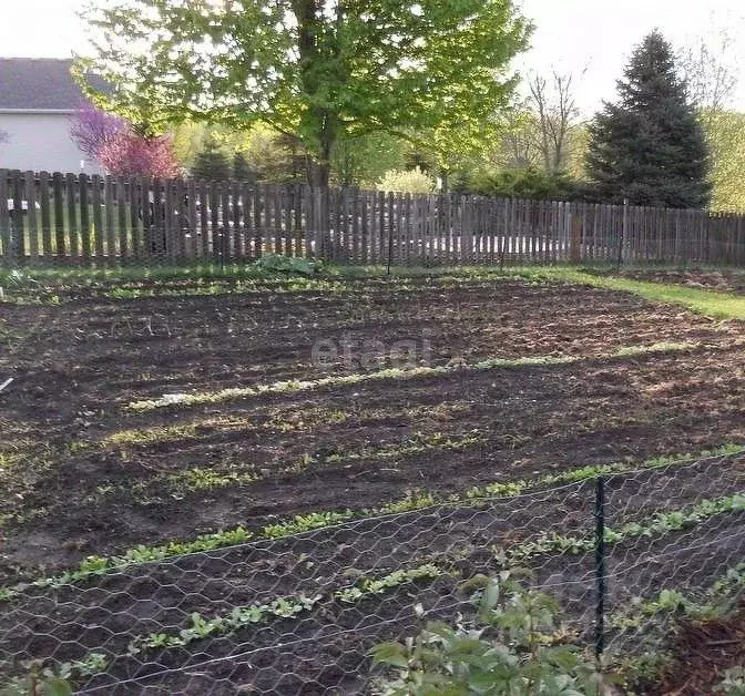 Участок в Башкортостан, Нефтекамск Ветеран СПК,  (8.0 сот.) - Фото 1