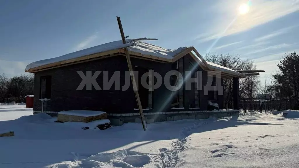 Дом в Брянская область, Брянский район, Снежское с/пос, с. Толмачево, ... - Фото 1