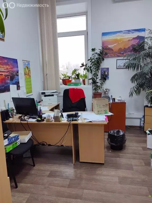 Офис (41.8 м) - Фото 2