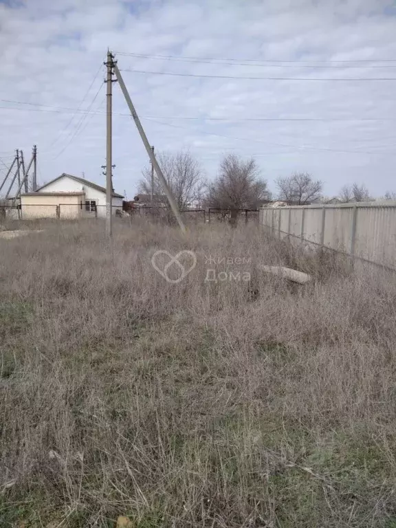 Участок в Волгоградская область, Городищенский район, Новонадеждинское ... - Фото 1