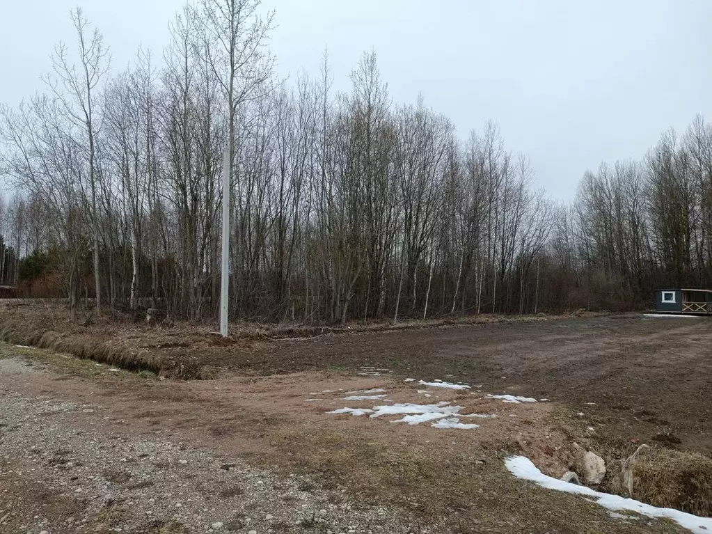 Участок в Новгородская область, Новгородский район, Ракомское с/пос, ... - Фото 2