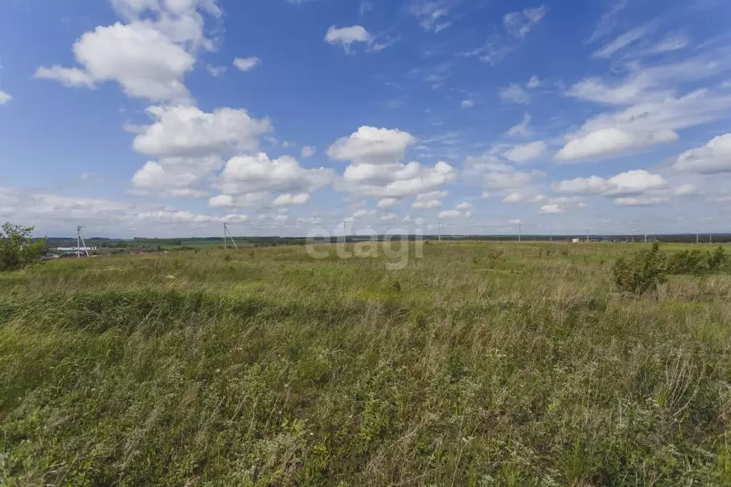 Участок в Башкортостан, Чишминский район, Лесной сельсовет, с. ... - Фото 2