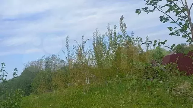 Участок 12 сот. (ИЖС) - Фото 1